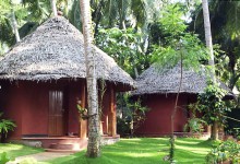 franklins-panchakarma-hut