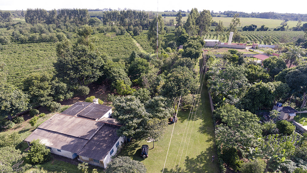 Heilpflanzenfarm in Franca