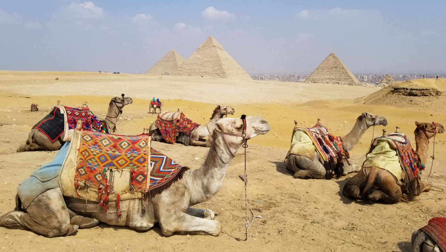 Pyramiden mit Kamelen